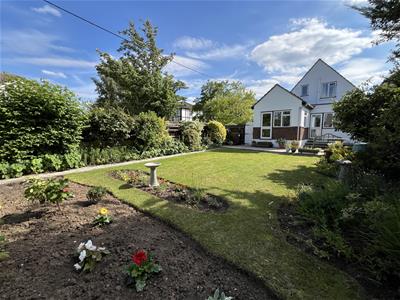 Picture 25